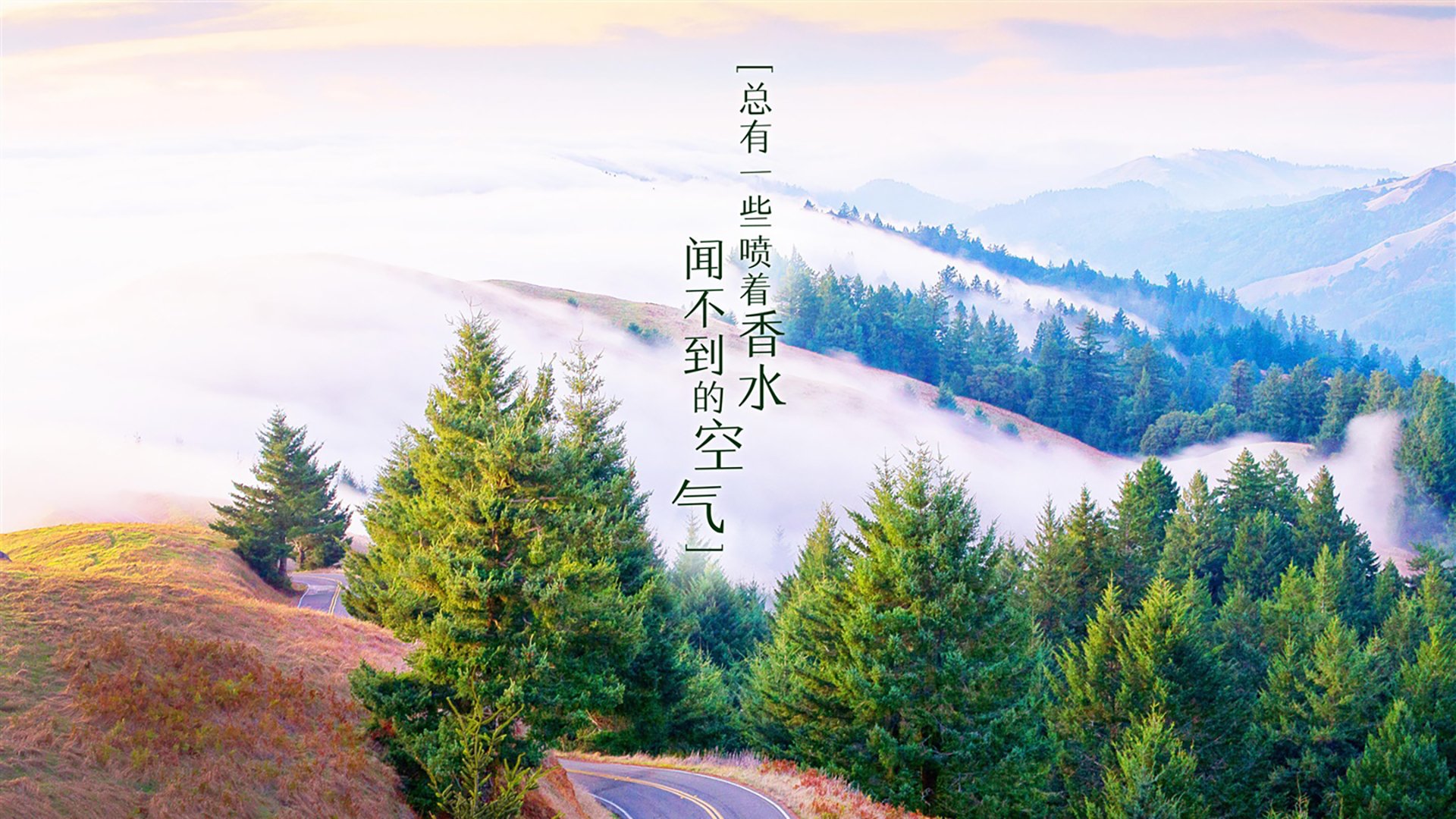 Kaiyun APP-阿斯顿维拉主帅赛前表态强调团结，球队备战信心十足，阿斯顿维拉阵型