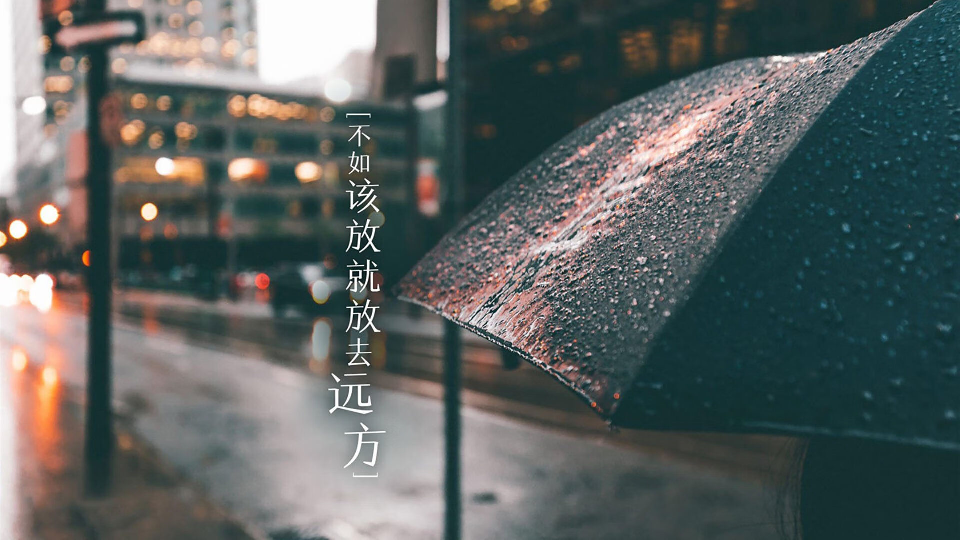 开云中国-德国泳坛注目新星施瓦茨崭露头角，德国施瓦布简介