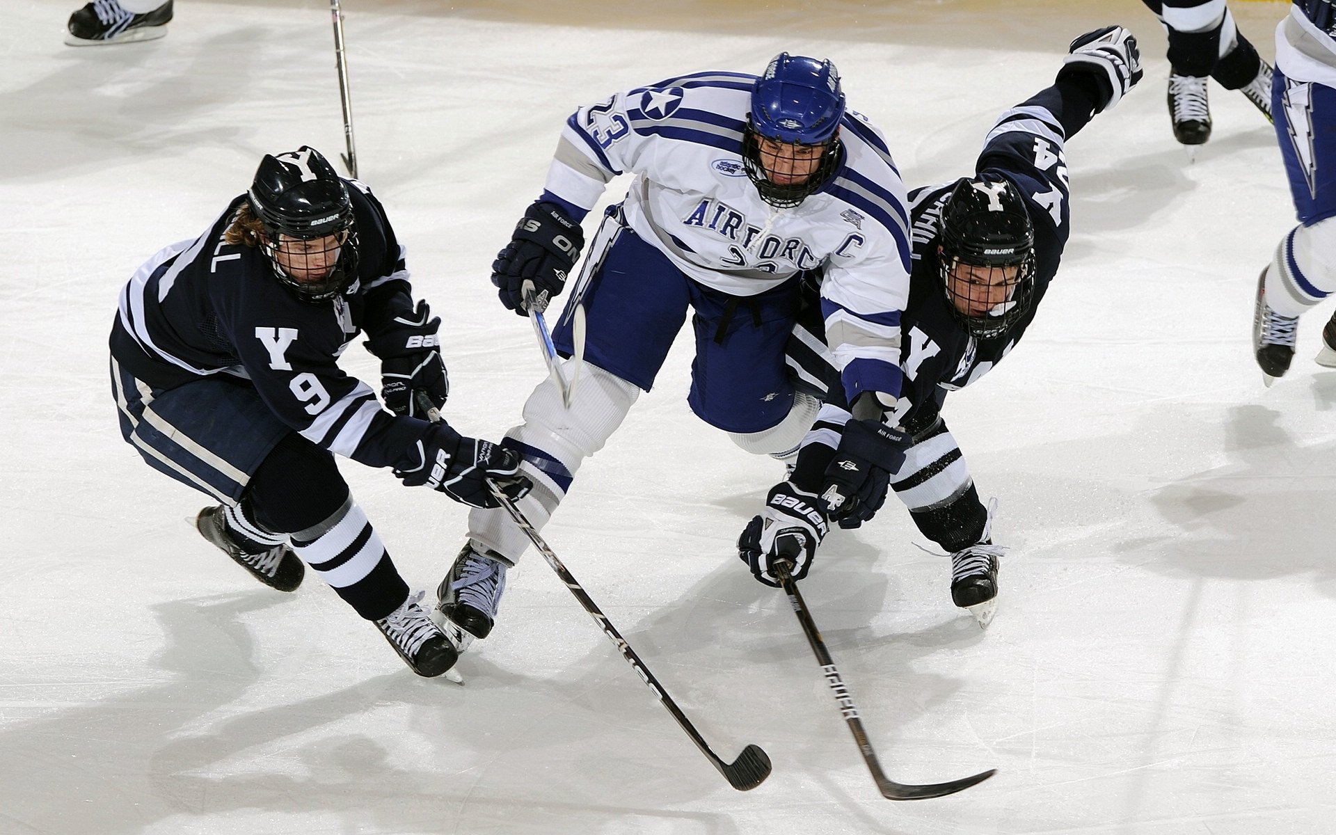比赛战术:从常规到季后赛的调整策略,各种比赛赛制